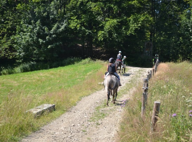 Weekendy w siodle dla dzieci i młodzieży