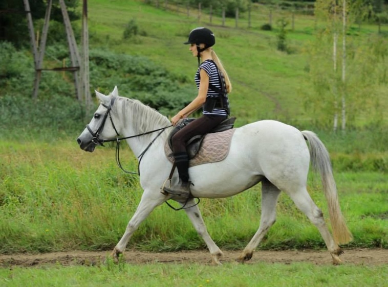 Jazda Konna i Hipoterapia 