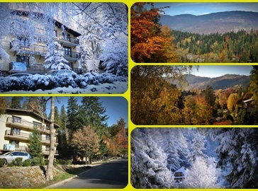 NIEZAPOMINAJKA ?v=1.0